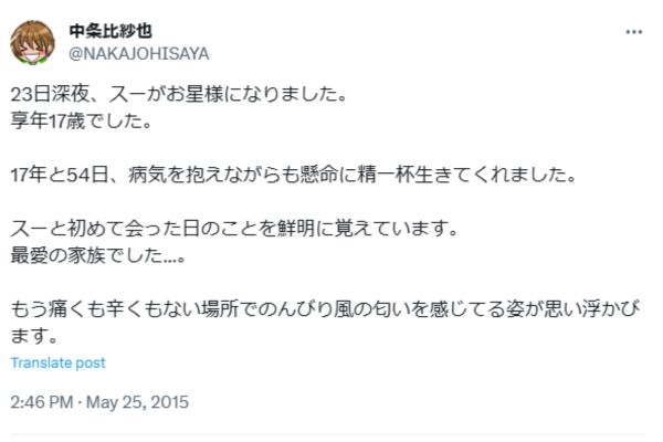 中条比紗也
